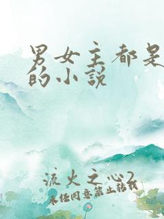 男女主都是律师的小说