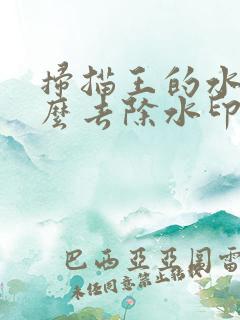 扫描王的水印怎么去除水印