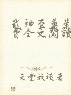 武神至尊叶风免费全文阅读无弹窗