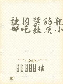 被囚禁的龙by哪吒敖庚小说笔趣阁