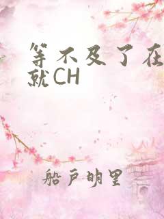 等不及了在车里就CH