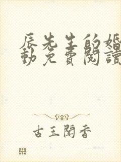 辰先生的婚然心动免费阅读