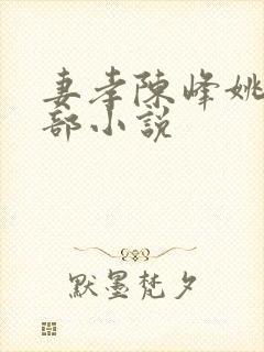 妻孝陈峰姚瑶全部小说