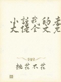 小说我的老公是大佬全文免费阅读