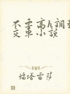 不要高h调教公交车小说