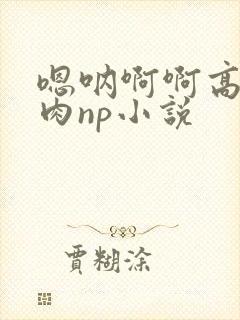 嗯呐啊啊高h纯肉np小说