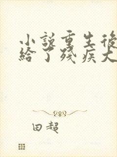 小说重生后我嫁给了残疾大佬