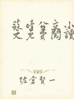 苏晴公交小说全文免费阅读