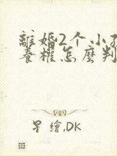 离婚2个小孩抚养权怎么判定
