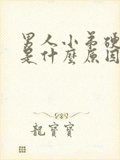 男人小弟硬不起是什么原因