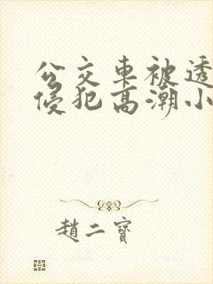 公交车被透明人侵犯高潮小说