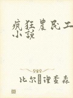 疯狂农民工夏建小说