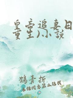 皇帝追妻日常(重生)小说