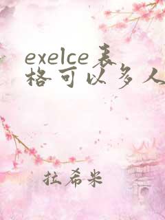 exelce表格可以多人编辑吗