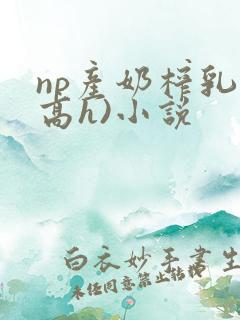 np产奶榨乳(高h)小说