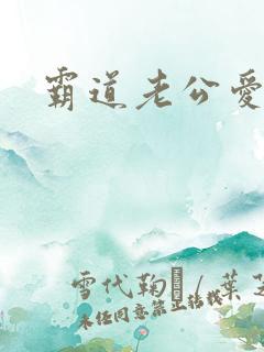 霸道老公爱上我