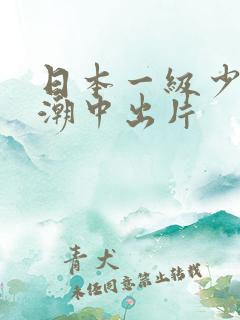 日本一级少妇高潮中出片