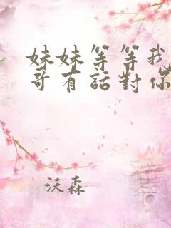 妹妹等等我,哥哥有话对你说是什么歌