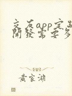交友app定制开发需要多少钱