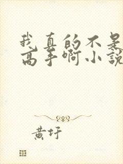 我真的不是绝世高手啊小说