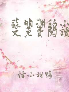 苏明渊的小说全文免费阅读无弹窗
