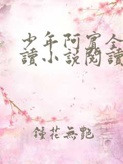少年阿宾全文阅读小说阅读目录