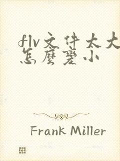 flv文件太大怎么变小