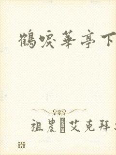 鹤唳华亭下载