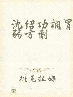 沈绍功调胃强脾弱方剂