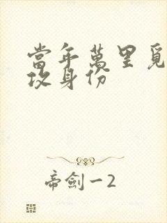 当年万里觅封侯攻身份