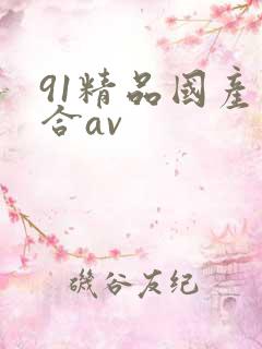 91精品国产综合av