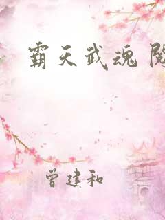 霸天武魂 阅读