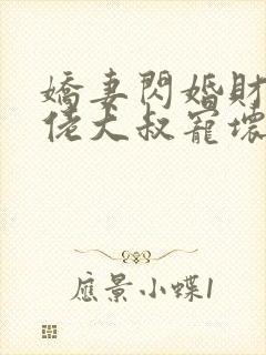 娇妻闪婚财阀大佬大叔宠坏小娇妻