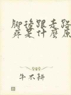 脚后跟走路骨头疼是什么原因