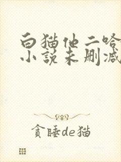 白猫他二哈师尊小说未删减