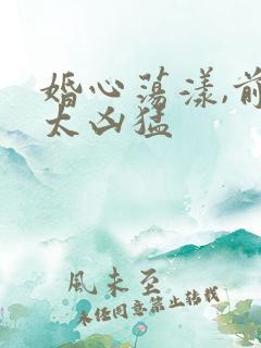 婚心荡漾,前夫太凶猛