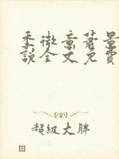 季微意萧景怀小说全文免费阅读