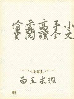 偷香高手小说免费阅读全文