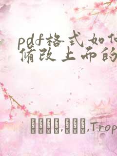 pdf格式如何修改上面的文字