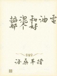 插混和油电混动哪个好