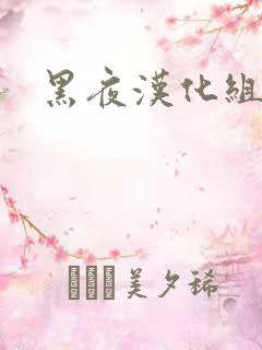 黑夜汉化组