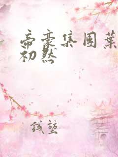 帝豪集团叶辰萧初然