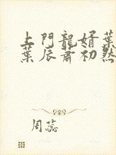 上门龙婿叶辰(叶辰萧初然)