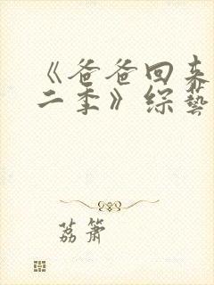 《爸爸回来了第二季》综艺