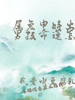 属兔申时出生的男孩命运怎么样