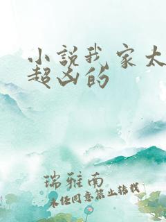 小说我家太子妃超凶的