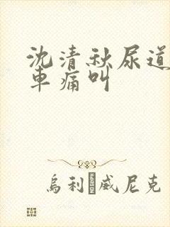 沈清秋尿道扩张车痛叫