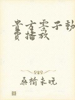 贵方零子动漫免费播放