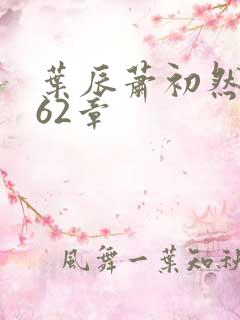 叶辰萧初然3462章