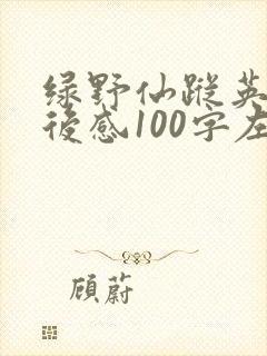 绿野仙踪英语读后感100字左右
